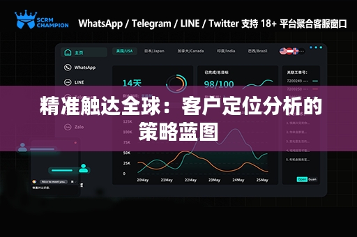  精准触达全球：客户定位分析的策略蓝图