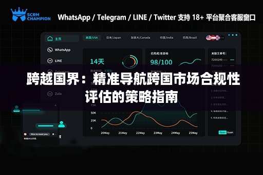  跨越国界：精准导航跨国市场合规性评估的策略指南