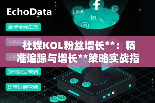  社媒KOL粉丝增长**：精准追踪与增长**策略实战指南