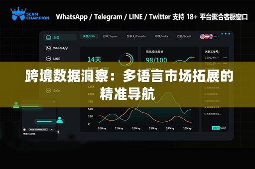  跨境数据洞察：多语言市场拓展的精准导航