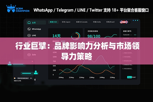  行业巨擘：品牌影响力分析与市场领导力策略