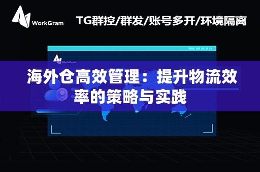  海外仓高效管理：提升物流效率的策略与实践