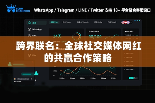  跨界联名：全球社交媒体网红的共赢合作策略
