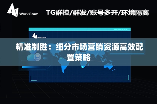  精准制胜：细分市场营销资源高效配置策略