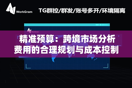  精准预算：跨境市场分析费用的合理规划与成本控制策略