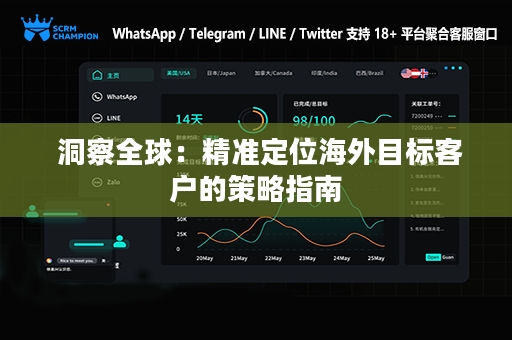  洞察全球：精准定位海外目标客户的策略指南