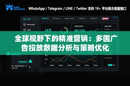  全球视野下的精准营销：多国广告投放数据分析与策略优化