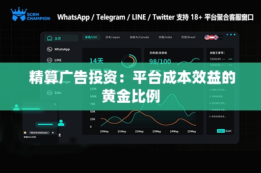  精算广告投资：平台成本效益的黄金比例