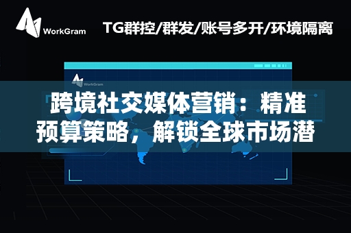  跨境社交媒体营销：精准预算策略，解锁全球市场潜力