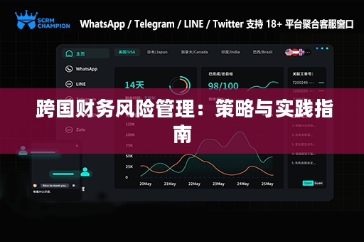  跨国财务风险管理：策略与实践指南