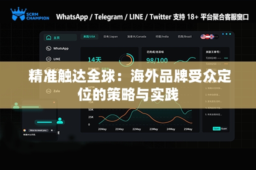  精准触达全球：海外品牌受众定位的策略与实践