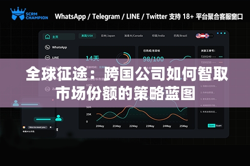  全球征途：跨国公司如何智取市场份额的策略蓝图
