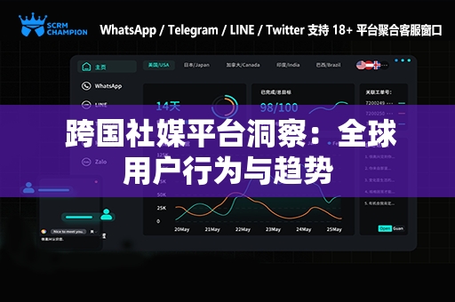  跨国社媒平台洞察：全球用户行为与趋势