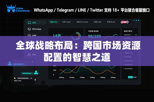  全球战略布局：跨国市场资源配置的智慧之道