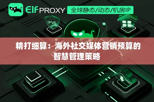  精打细算：海外社交媒体营销预算的智慧管理策略