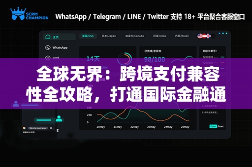  全球无界：跨境支付兼容性全攻略，打通国际金融通道的钥匙
