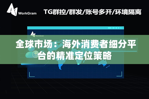  全球市场：海外消费者细分平台的精准定位策略