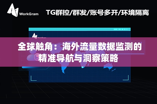  全球触角：海外流量数据监测的精准导航与洞察策略