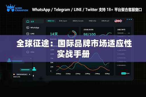  全球征途：国际品牌市场适应性实战手册
