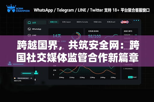  跨越国界，共筑安全网：跨国社交媒体监管合作新篇章