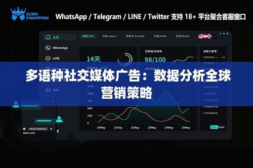  多语种社交媒体广告：数据分析全球营销策略