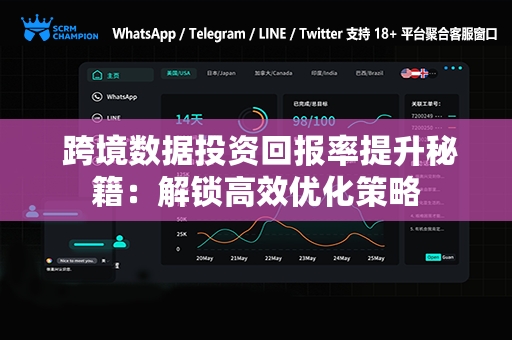  跨境数据投资回报率提升秘籍：解锁高效优化策略