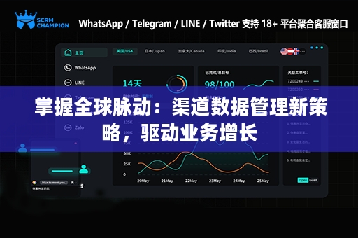  掌握全球脉动：渠道数据管理新策略，驱动业务增长
