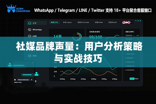  社媒品牌声量：用户分析策略与实战技巧