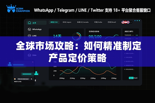  全球市场攻略：如何精准制定产品定价策略