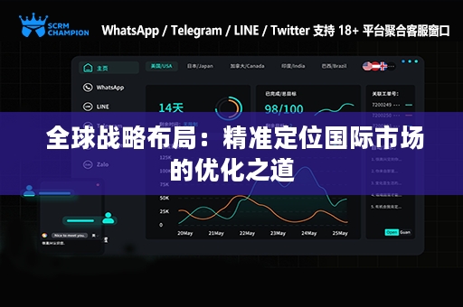  全球战略布局：精准定位国际市场的优化之道