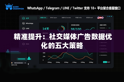  精准提升：社交媒体广告数据优化的五大策略