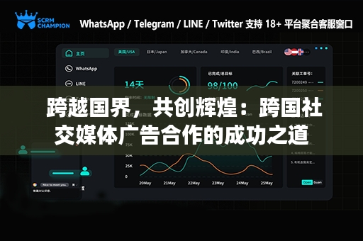  跨越国界，共创辉煌：跨国社交媒体广告合作的成功之道