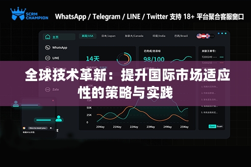  全球技术革新：提升国际市场适应性的策略与实践