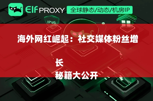  海外网红崛起：社交媒体粉丝增长
秘籍大公开