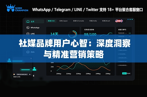  社媒品牌用户心智：深度洞察与精准营销策略