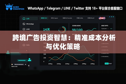  跨境广告投资智慧：精准成本分析与优化策略