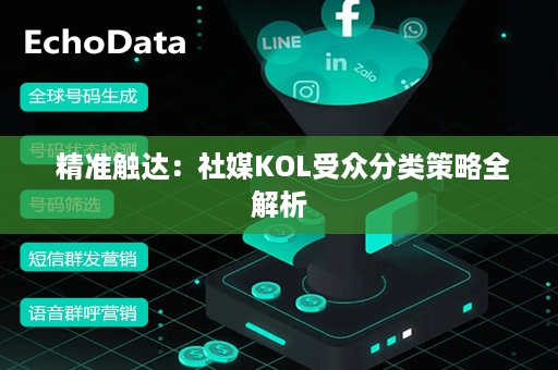  精准触达：社媒KOL受众分类策略全解析