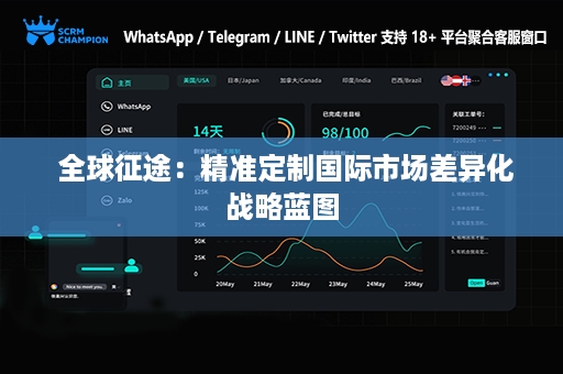  全球征途：精准定制国际市场差异化战略蓝图