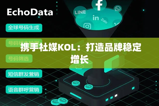  携手社媒KOL：打造品牌稳定增长