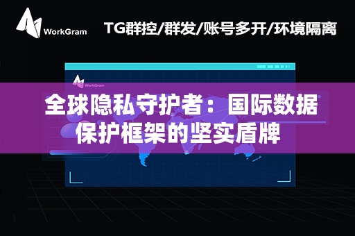  全球隐私守护者：国际数据保护框架的坚实盾牌