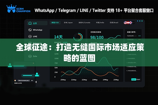  全球征途：打造无缝国际市场适应策略的蓝图