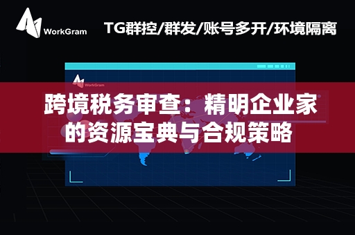  跨境税务审查：精明企业家的资源宝典与合规策略