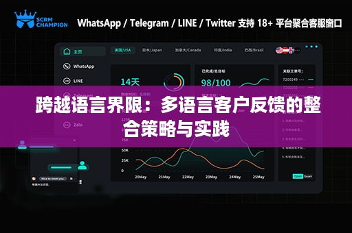  跨越语言界限：多语言客户反馈的整合策略与实践