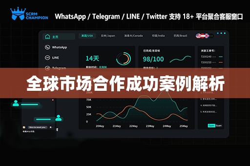 全球市场合作成功案例解析