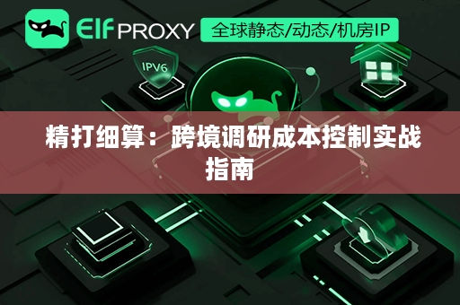  精打细算：跨境调研成本控制实战指南