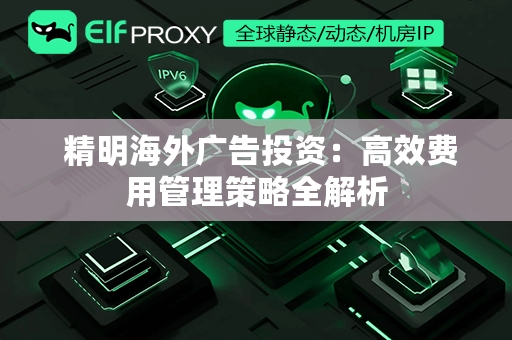  精明海外广告投资：高效费用管理策略全解析