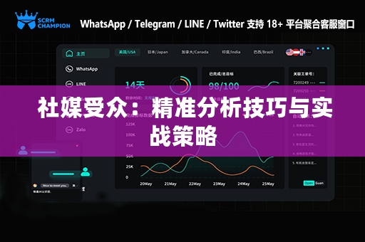  社媒受众：精准分析技巧与实战策略