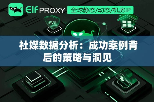  社媒数据分析：成功案例背后的策略与洞见