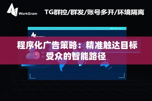  程序化广告策略：精准触达目标受众的智能路径