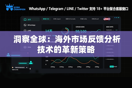  洞察全球：海外市场反馈分析技术的革新策略
